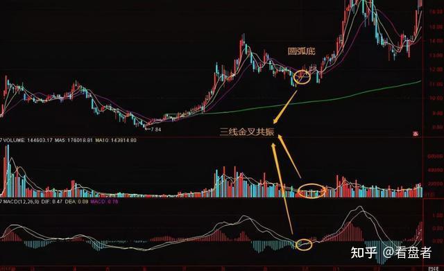 麻雀养殖致富渠道_麻雀养殖致富渠道_麻雀养殖致富渠道