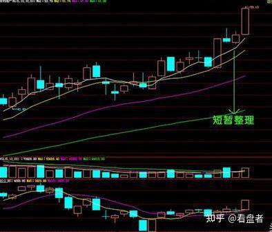 麻雀养殖致富渠道_麻雀养殖致富渠道_麻雀养殖致富渠道