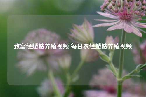 致富经蝼蛄养殖视频 每日农经蝼蛄养殖视频