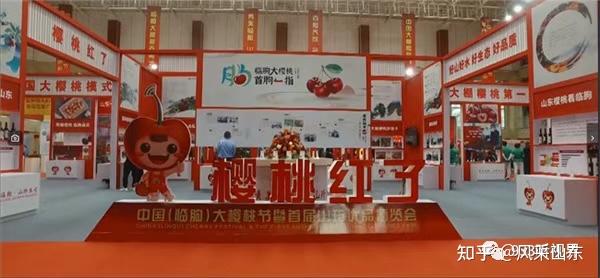 致富种植樱桃图片大全_致富经樱桃种植视频_樱桃种植致富
