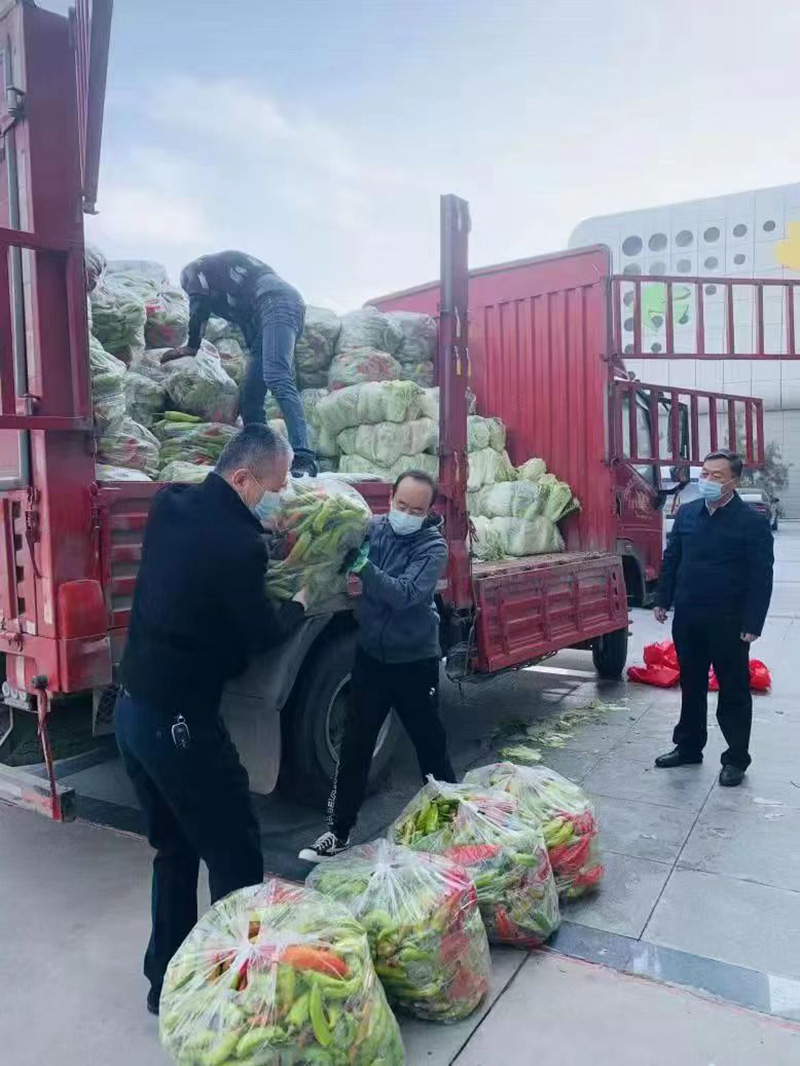 留守妇女种植蔬菜致富经验_留守妇女创业找项目_留守妇女怎么赚钱