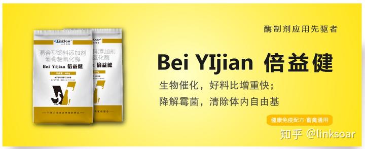 【中农翎翔 | 养殖技术】多雨季节，养鸡应注意以下问题