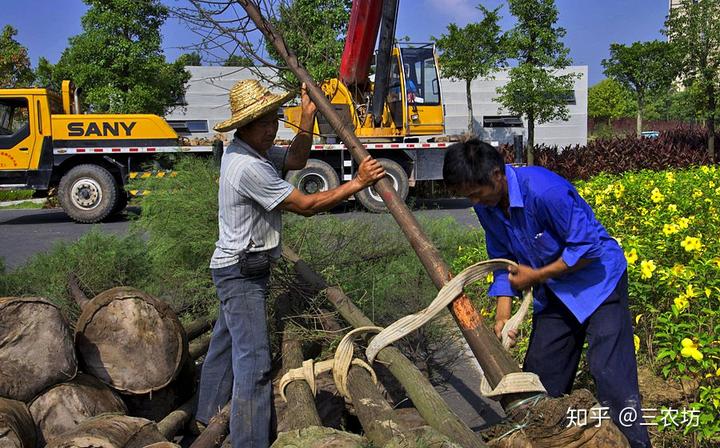 致富养殖特色门路怎么写_致富养殖项目_特色养殖致富门路