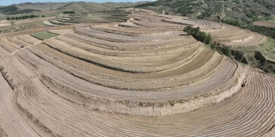 山丘种植致富_山丘适合种植什么_大山种出致富草