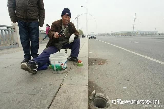 辣椒种植大户的致富经_乡村辣椒种植致富_在农村种植辣椒前景如何