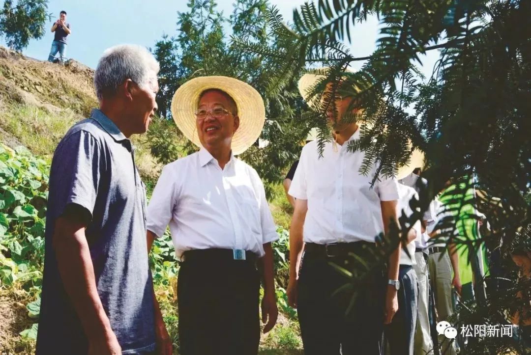 种香榧赚钱吗_种植香榧致富_种植香榧经济效益如何