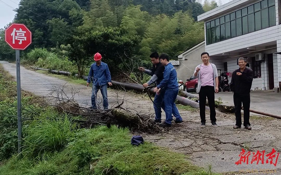 益阳市种植业技术推广中心_致富种植益阳项目有哪些_益阳种植致富项目