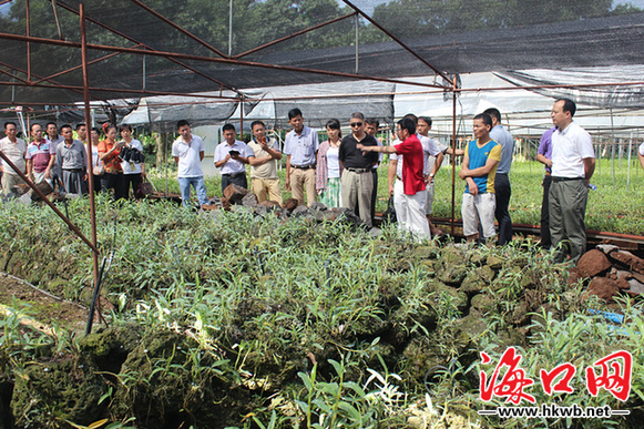 种植致富宝视频_农业节目致富经种植视频_视频致富种植宝怎么下载