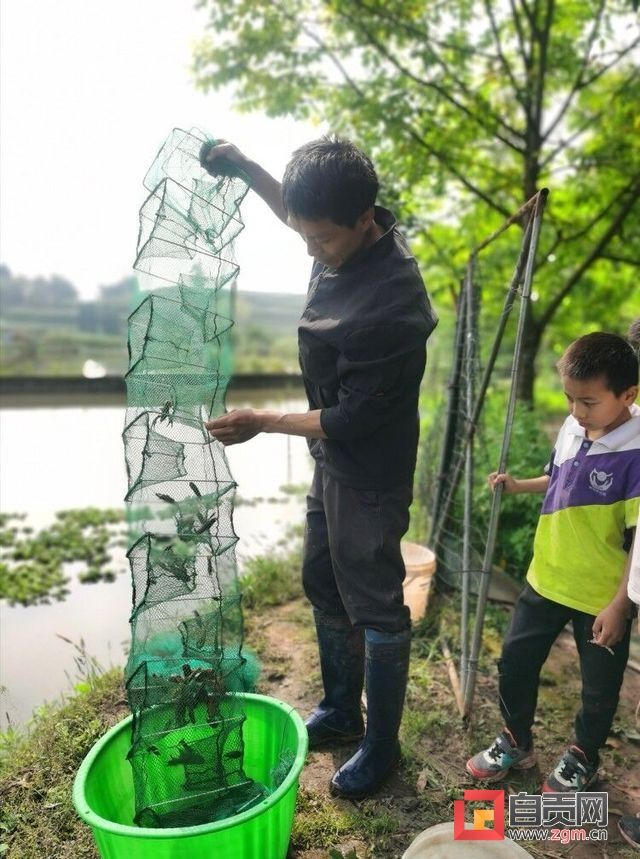 从贫困户到致富能人 廖春的小龙虾“变身记”