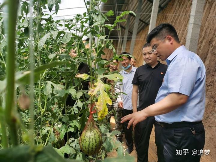 种植灯笼果有前景吗_种植灯笼果致富_致富灯笼种植果树怎么样