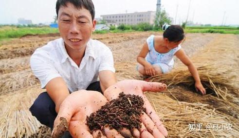 致富经赵红松_致富经赵秋霞_致富经赵菲