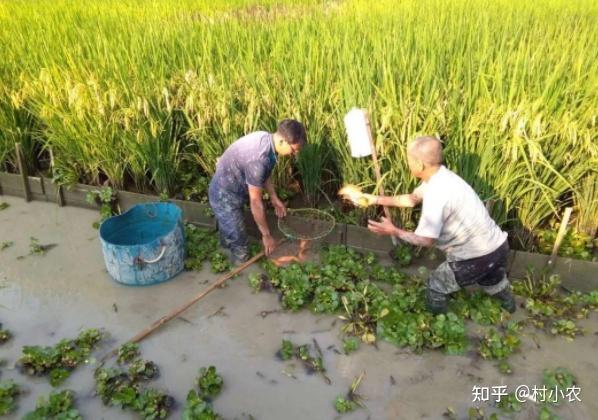 致富经赵菲_致富经赵秋霞_致富经赵红松