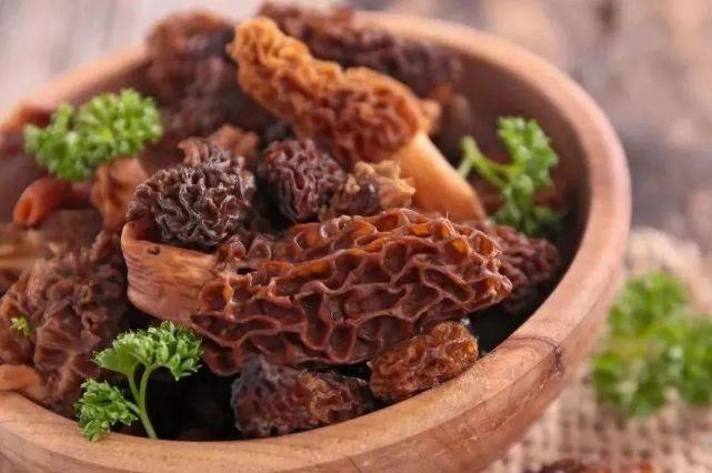 致富经2018羊肚菌_致富经羊肚菌养殖技术_致富经羊肚菌种植视频全集
