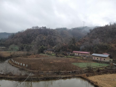 香椿广西可以种植吗_广西香椿芽种植基地_广西种植香椿致富