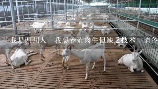 我是4川人。我想养殖肉牛但缺乏技术。请各位高师指点