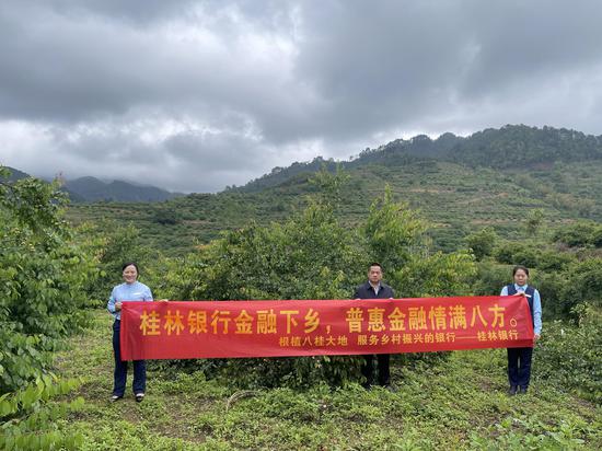 贺州种植致富_广西贺州适合种植什么草药_贺州农业种植