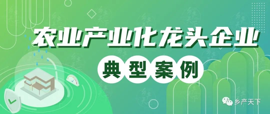 大米致富东北话怎么说_致富经东北大米_做东北大米生意利润如何