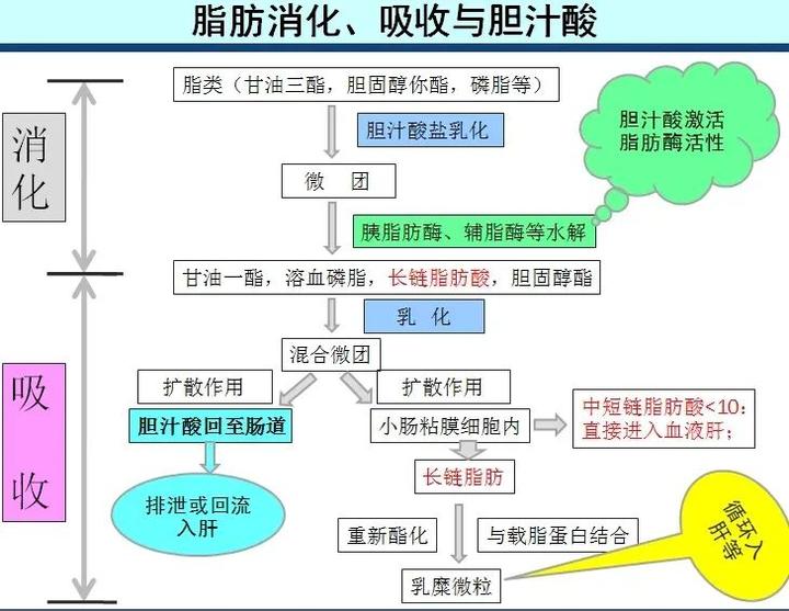 水产致富经养殖_水产养殖赚钱_水产养殖效益