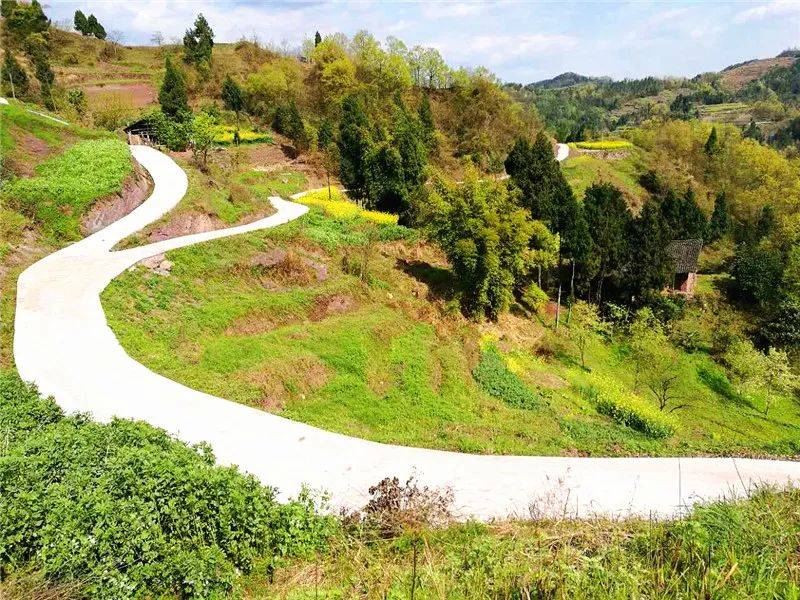 蟠桃种植基地_蟠桃种植技术_乡贤种植蟠桃致富