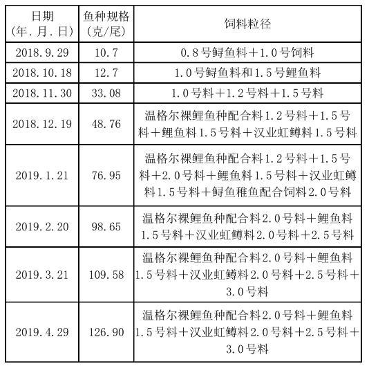 鲤鱼水花养殖_水花养鱼技术_裸鲤水花养殖技术