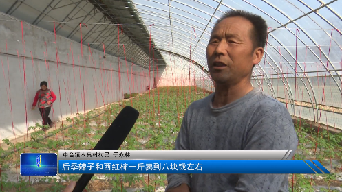 萝卜如何种植视频教程_萝卜栽培技术视频_水萝卜的种植技术视频