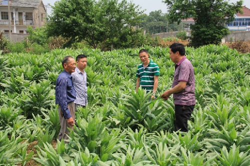 致富经嘉兴_嘉兴致富城地址_怎样致富致富