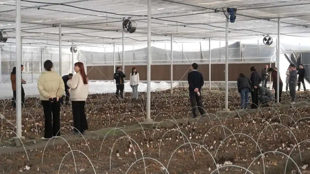 怎样致富致富_致富经嘉兴_嘉兴致富城地址
