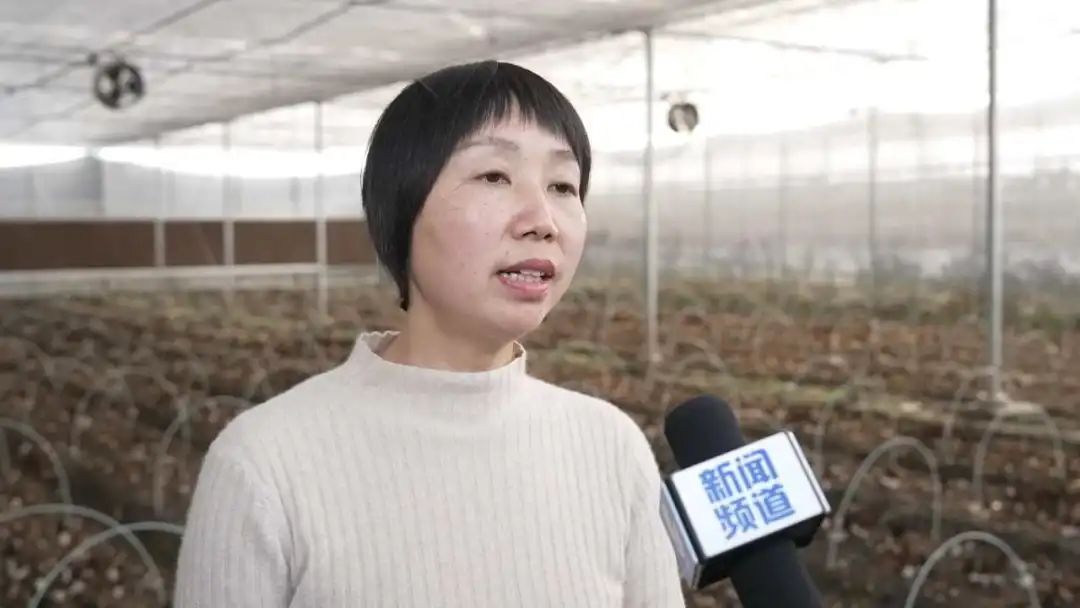 致富经嘉兴_怎样致富致富_嘉兴致富城地址