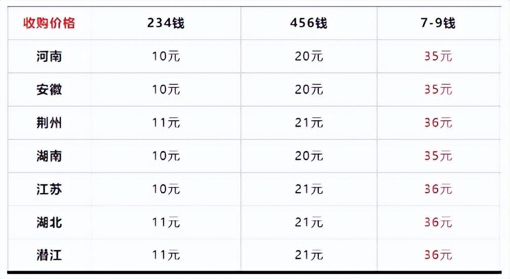 致富经小龙虾养殖技术视频_养殖小龙虾能致富吗吗_致富经小龙虾养殖