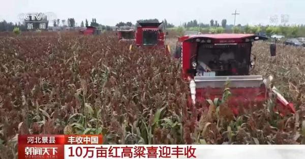 致富经沙漠里种苹果_沙漠苹果的产地_沙漠苹果好吃吗