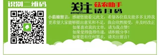 种植菌类技术有哪些_种植菌类有哪些_种植菌类技术有哪些种类