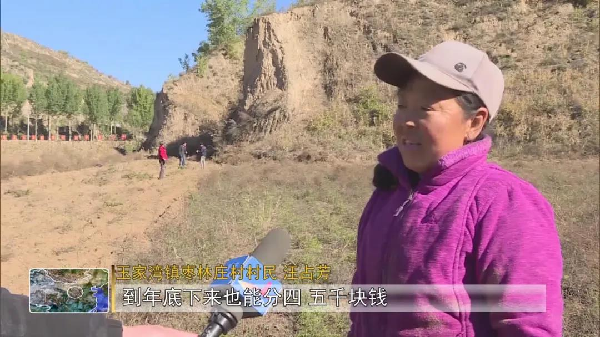 中草药种植致富之路下载_致富之路什么意思_致富之路小投资