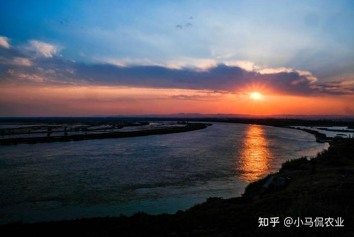 种植水稻挣钱吗_水稻普通种植致富_2021年种水稻能不能挣钱