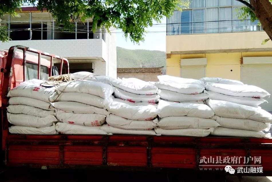 农村种植架豆致富_架豆高产栽培技术_致富种植农村架豆怎么样