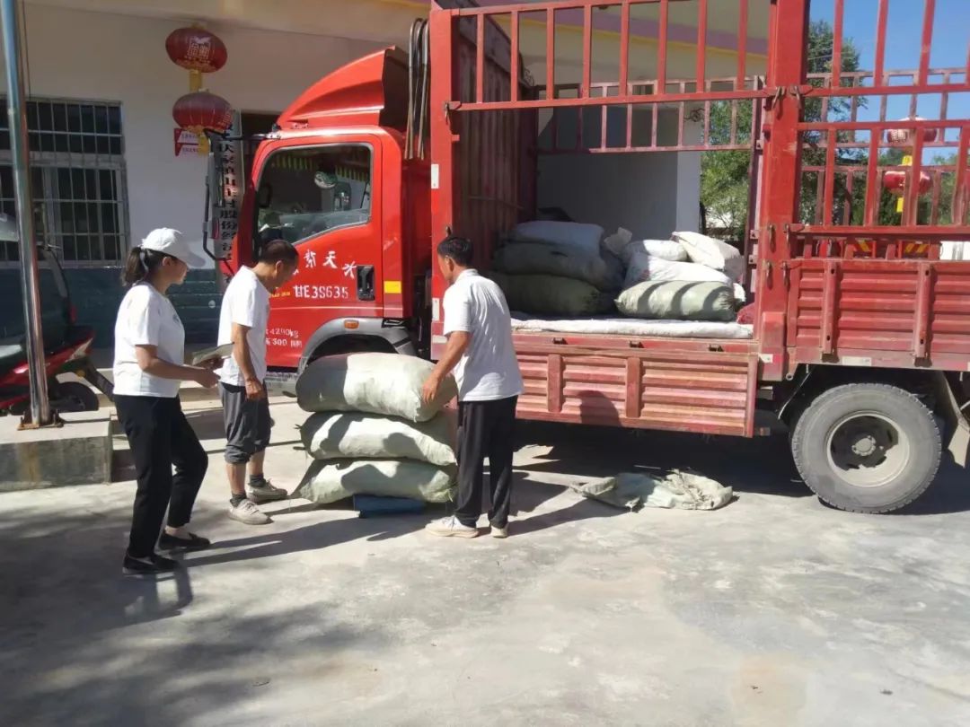 农村种植架豆致富_架豆高产栽培技术_架豆怎样种植搭架