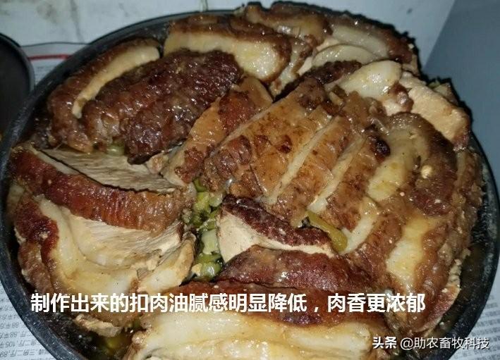 养殖现代生产技术论文_现代养殖生产技术_现代养殖新技术