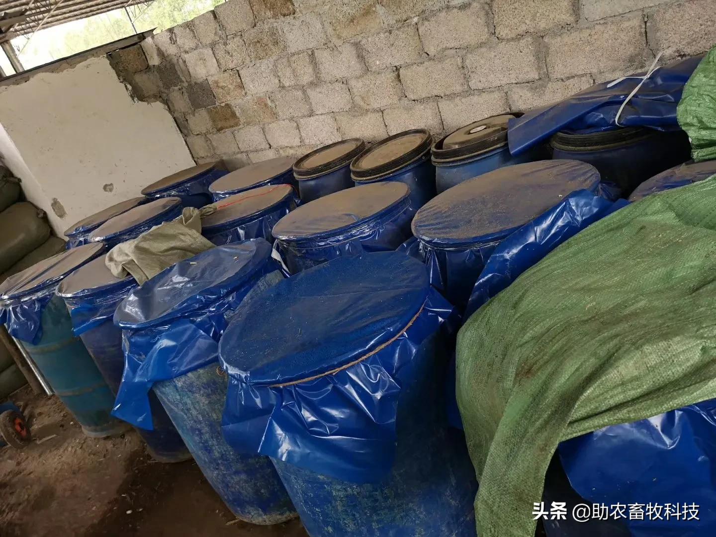 现代养殖生产技术_养殖现代生产技术论文_现代养殖新技术