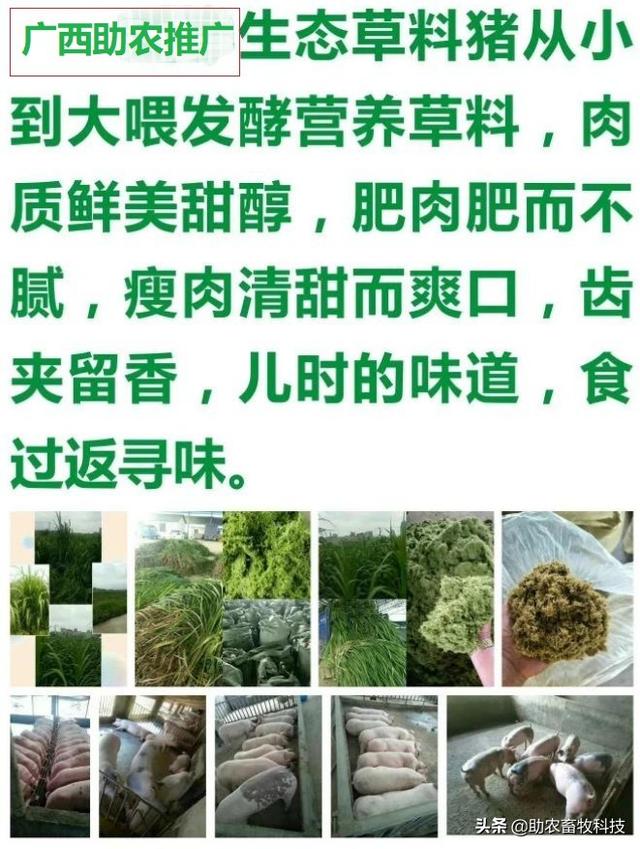 养殖现代生产技术论文_现代养殖新技术_现代养殖生产技术