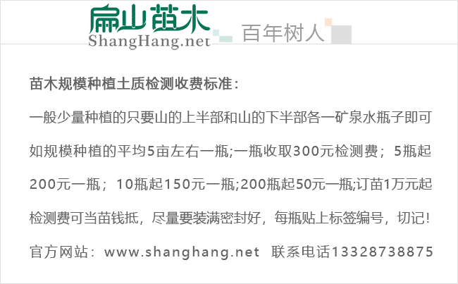 油茶的种植技术_种植油茶技术要求_种植油茶技术视频教程