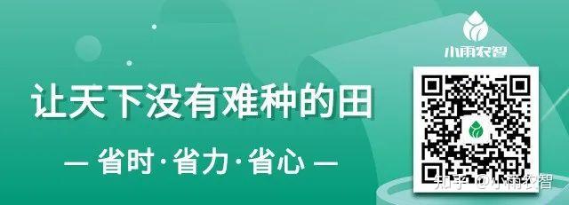 大棚种植 | 辣椒种植技术经验！