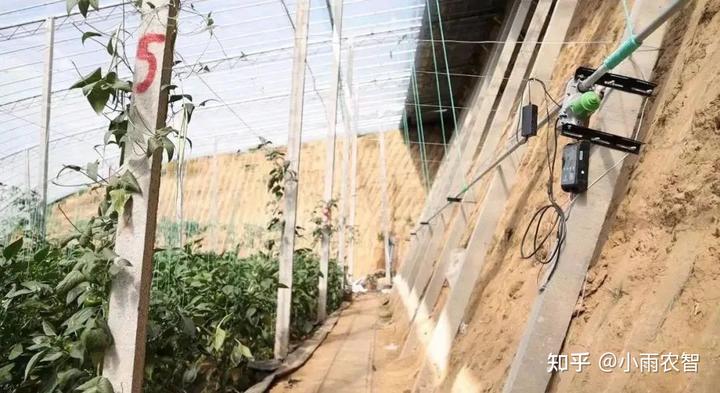 辣椒露地栽培_辣椒种植露地技术视频_露地辣椒种植技术