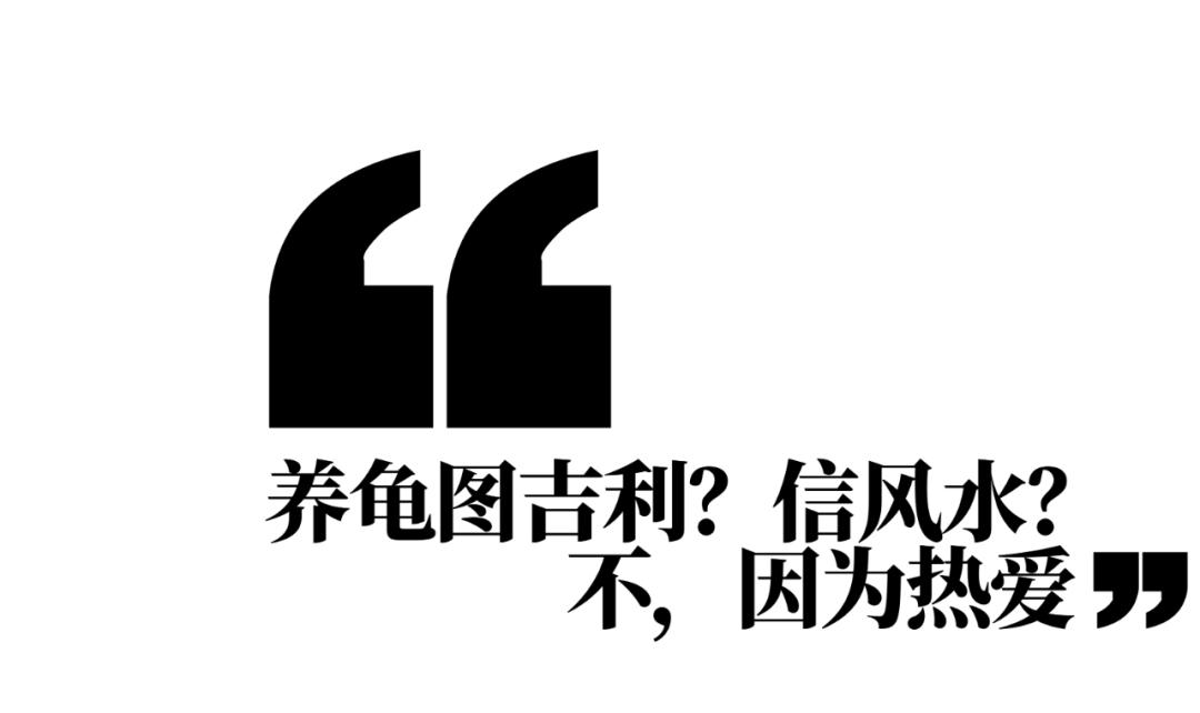 2017致富经养殖龟_致富经乌龟养殖场的视频_致富经龟类养殖