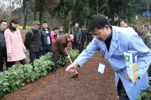 植物种植须知_植物的种植技术_植物种植技术员