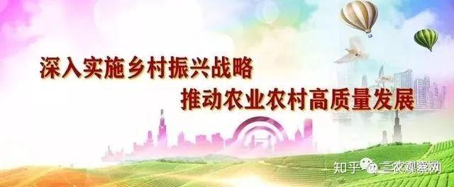 三农致富 || 农民种植一种蔬菜，15天采摘一次，6亩收入60000元！