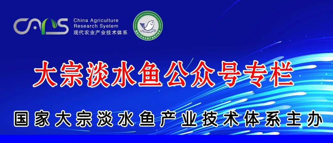 高密度淡水养鱼技术视频_淡水鱼高密度养殖技术_高密度养殖鱼视频