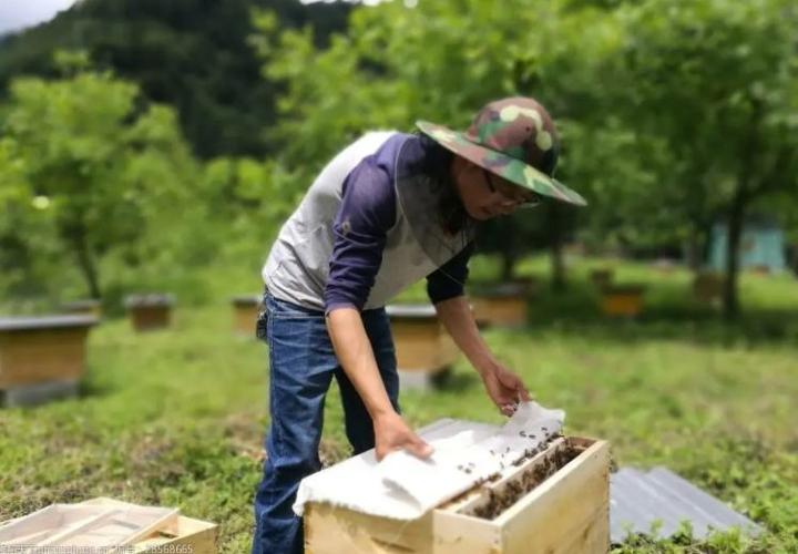 老汉养殖致富_致富养殖老汉视频_致富养殖老汉小说