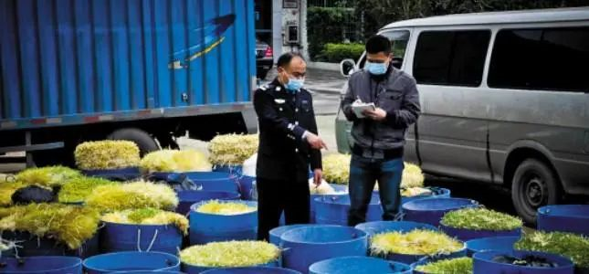 海参养殖调水质技术_海参水质要求_海水养殖海参需要什么条件