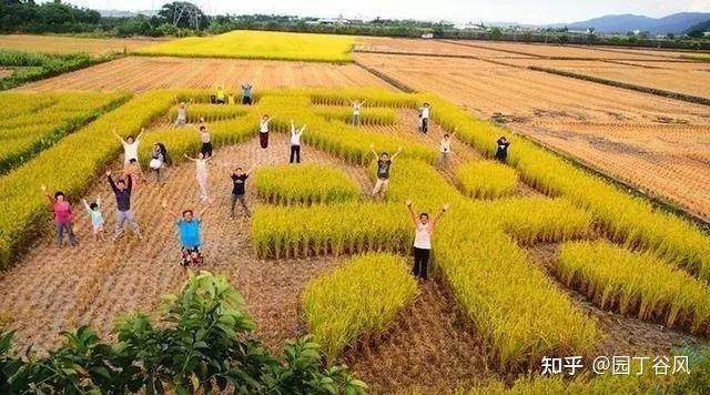 养殖种植技术软件_养殖种植技术书搞笑的_种植技术养殖