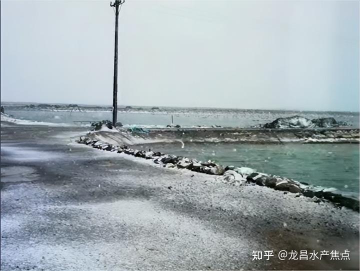 海参水质要求_海参养殖调水质技术_海参养殖水质的要求指标