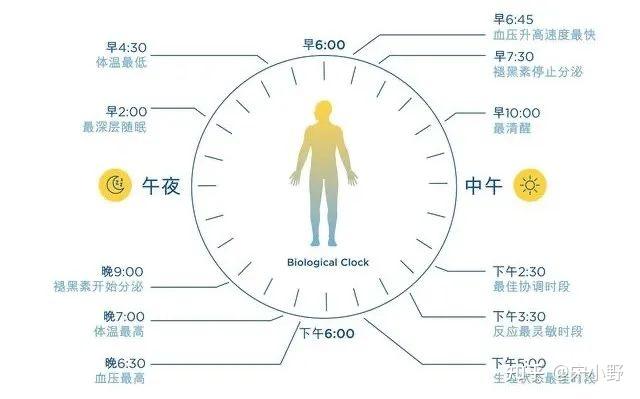 优质回答的经验分享_优质回答需要审核多久_优质回答的标准是什么